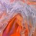 „Orange“, Öl/Acryl auf Leinwand, 100 x 140 cm